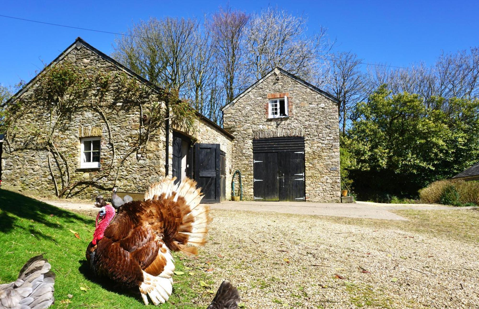Beachborough Country House Barnstaple Exterior photo